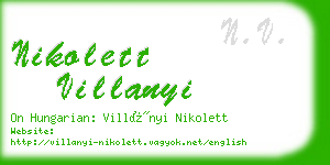 nikolett villanyi business card